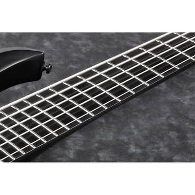 Ibanez BTB625EX Iron Label 5-String Bass w/ Bartolini Pickups - Black Flat image 6