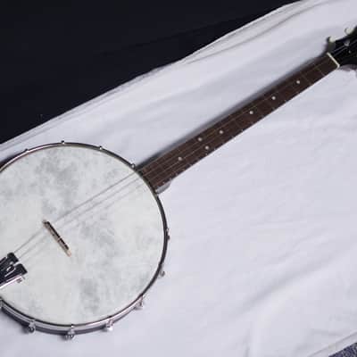 Recording King Dirty 30s Tenor Banjo RKT-05 w/ Gig Bag - BRAND NEW image 2