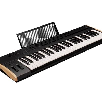 Korg Keystage 49 Poly AT MIDI 2.0 Keyboard Controller image 5