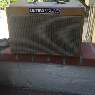 UltraSound DS4 50 Watt Acoustic Guitar Amp, Used Only 2 Hours, Superb Sound! image 1