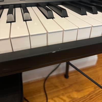 Korg SV1-88 Stage Vintage Digital Piano 2009 - Present - Black with White / Black Keys image 8