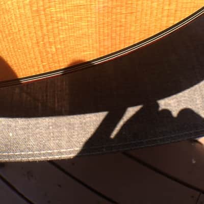 Larrivee D-19 12-String with Flying Eagle Headstock image 10