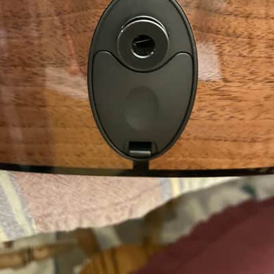 Taylor Grand Pacific Custom 2020 image 17