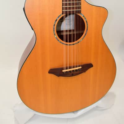 Breedlove AC250/SM-12 AC250SM 12-string Concert Acoustic Electric Guitar w/ Bag image 3