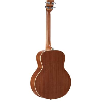 Alvarez Lj2 E Artist image 2
