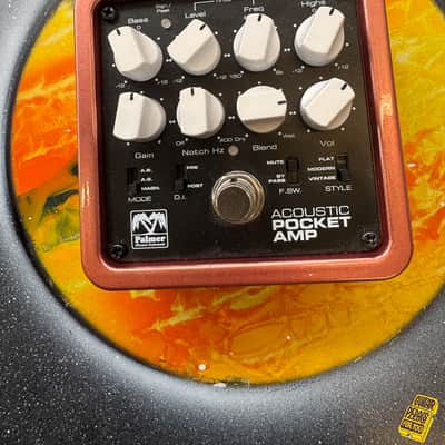 Palmer Pocket Amp Acoustic image 2