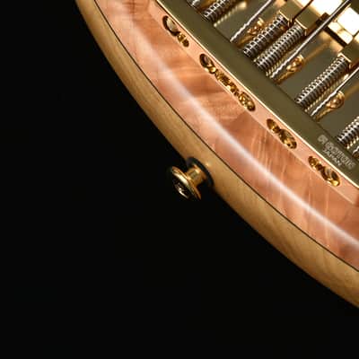 STR guitars LS549 - Burl Maple image 2