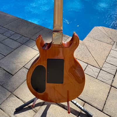 Stuart Spector Design (SSD) BlackHawk Guitar  - Stuart’s Personal Guitar image 4