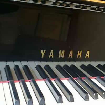 Free: Baby Grand Piano image 4