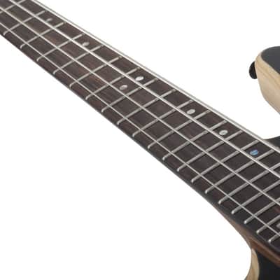 Schecter Charles Berthoud CB-4 LH - See Thru Black Satin (2872) image 25