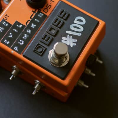 Analog Music Company The Evil Pumpkin SN100 image 2