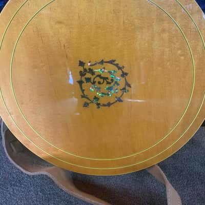 Ibanez 1975 Artist "Vine" Banjo 593FB *RARE* image 7