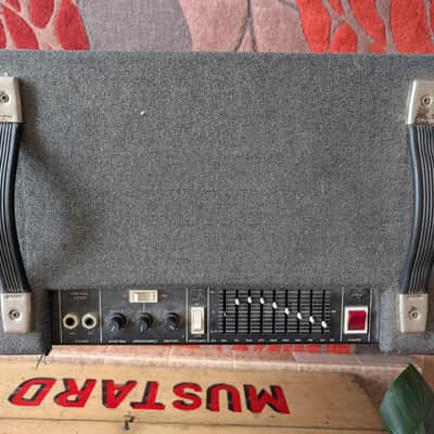 Session Sessionette 100 bass combo image 3