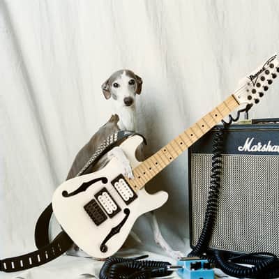 Paul Gilbert Owned Guitar Fundraiser #3, The Rarest Doubleneck! image 21