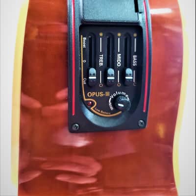 Estaban Rock On Collection 2009 Limited Edition Acoustic/Electric Amber Ice Guitar Extremely Rare image 9