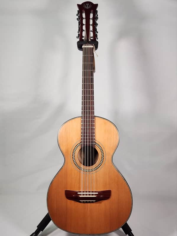 Fortaleza F10 Fullbody Bajo Quinto w/Gigbag image 1