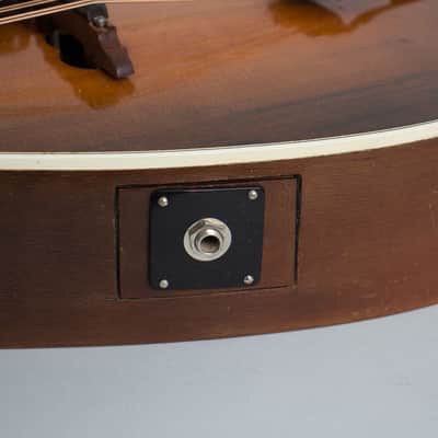 Vivi-Tone Hollow Body Electric Mandolin (1933), ser. #301, original black chipboard case. image 15