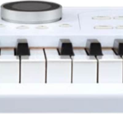 Arturia AstroLab 61-Key Stage Keyboard, White image 3