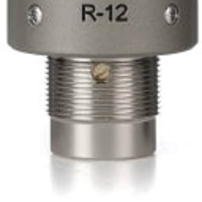 Royer R-12 Active Ribbon Microphone image 1