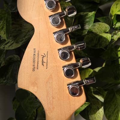 Squier Standard Series Stratocaster image 6