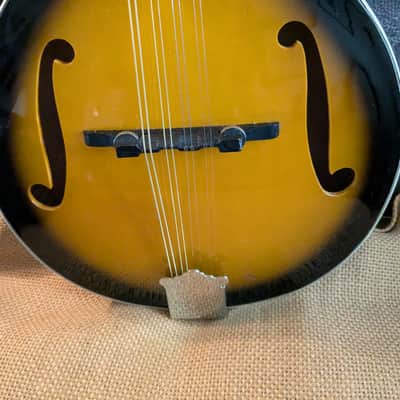 Rover A Style Mandolin w/ New Gig Bag image 6