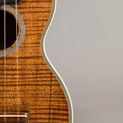 Martin K3 1920s, Natural image 3
