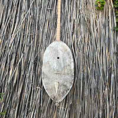Authentic Tovshuur (Topshur) Traditional Mongolian Two/Three-Stringed Lute 2023  - Natural image 1