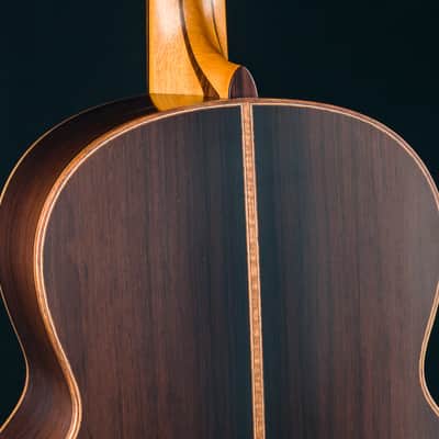 Lowden F-50 Brazilian Rosewood and Adirondack Spruce with Bevel NEW image 18