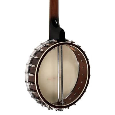 Gold Tone Mastertone™ WL-250/L: Lefty White Ladye Banjo with Case image 10