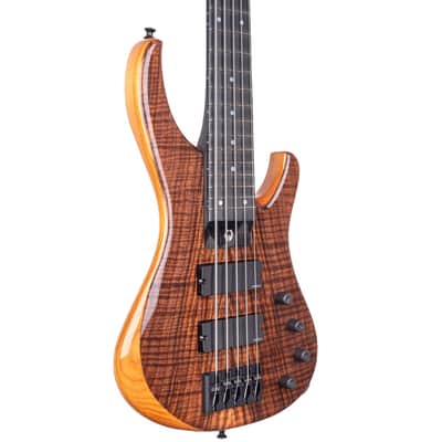 G.Gould GGi5 – Flame Walnut Top – Torrefied Pine Body – Graphite Composite Neck – 8.1 pounds – 1464 image 9