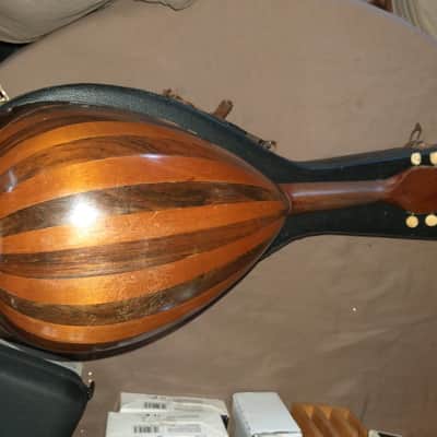 C. Bruno mandolin 1890's - origional image 2