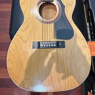 Stella Vintage Harmony And Vintage Case image 7