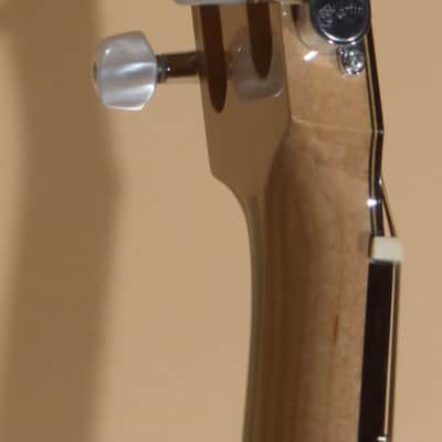 2002 Rubio 12-String Cutaway image 8