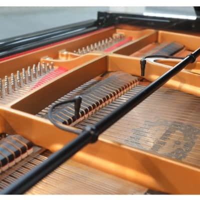 Earthworks PM40 | PianoMic System. New with Full Warranty! image 2