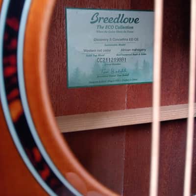 Breedlove Acoustic-Electric Guitar - Discovery Series image 2