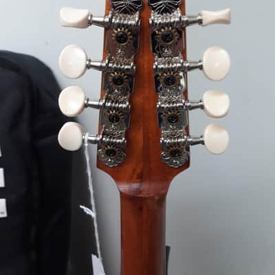 Michael Mederios Mandolin imagen 5