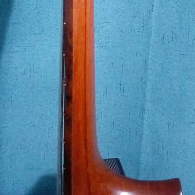 Beautiful Rare DiGiorgio Brazilian Classical Guitar Guarany C2 1979 image 11
