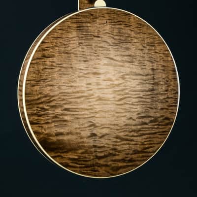 Deering 50th Anniversary Limited Edition 5-String Banjo NEW image 16