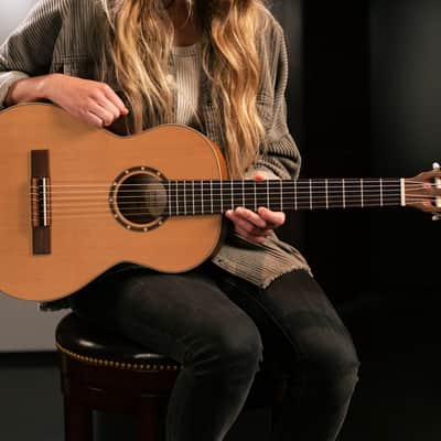 Ortega R122-3/4 Family Series Cedar Top Mahogany Neck 3/4-Size Nylon 6-String Classical Acoustic Guitar w/Gig Bag image 22
