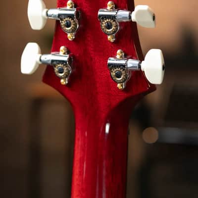 PRS Studio 22 10-Top Electric Guitar - Charcoal Cherry Burst with Hardshell Case - Demo image 6