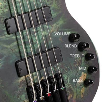 Cort SPACE5SDG Artisan Series Space 5 Poplar Burl Top Soft Maple Body 7pcs Roasted Maple, Walnut, Purple Heart & Maple Neck 5-String Bass Guitar w/Gig Bag image 9