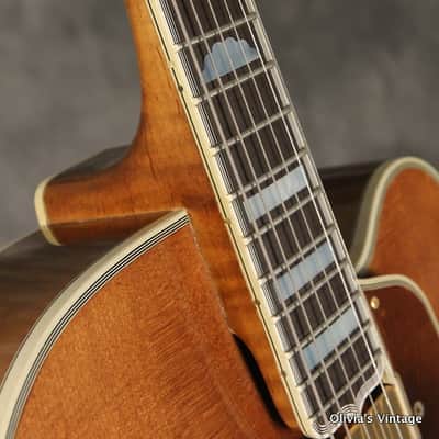 Gibson Citation #22 1984 Brown image 6