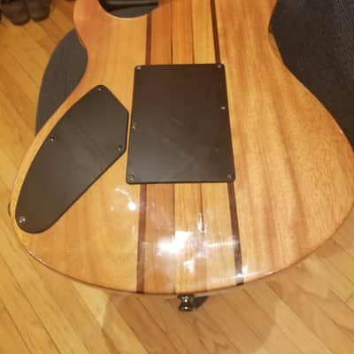 Douglas 7 String Electric Guitar image 2