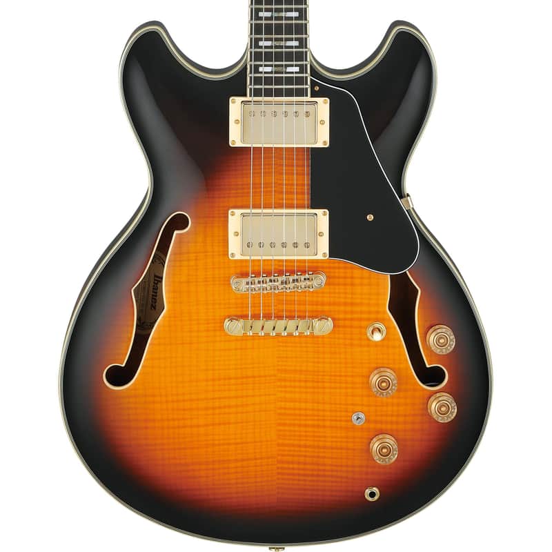 Ibanez JSM10VYS John Scofield Signature Guitar w/Case - Vintage Yellow Sunburst image 1