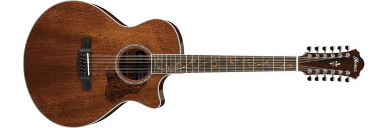Ibanez AE2412 NT - Natural High Gloss - b-stock | Reverb Greece