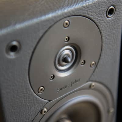 Immagine Sonus Faber Concertino Domus - 2