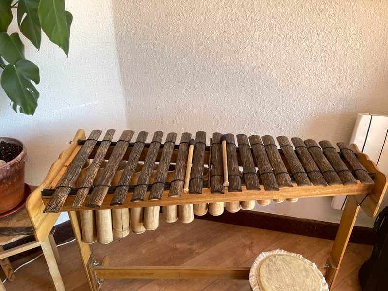 Marimba tradicional del Pacifico Colombiano 2018 | Chonta image 1