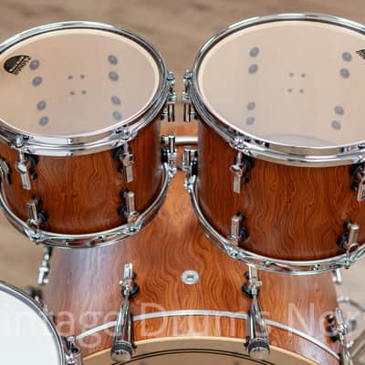 Sonor SQ2 2026 - Medium Maple - Bubinga Semi Gloss image 11