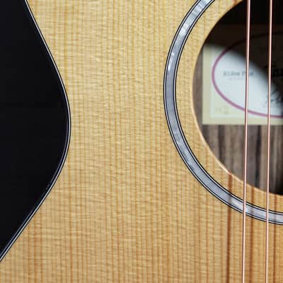 Taylor 212ce Plus Rosewood / Torrified Spruce Acoustic-Electric Guitar image 8