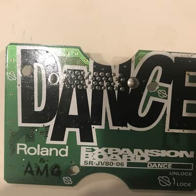 Roland SR-JV80-06 Dance Expansion Board 1990s